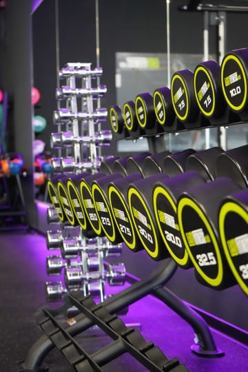 Kurzhantelbereich mit Hantelbank und Gewichten im EASYFITNESS-Studio